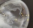 Decorative ceramic plate "Mountain ram and eagle" from the series "The Chase"